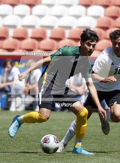 null - Photo 11