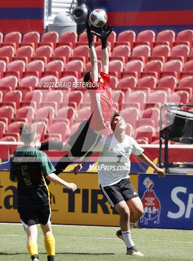 null - Photo 21