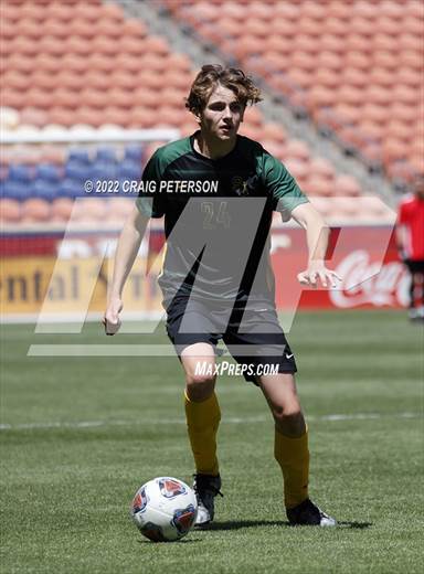 null - Photo 41