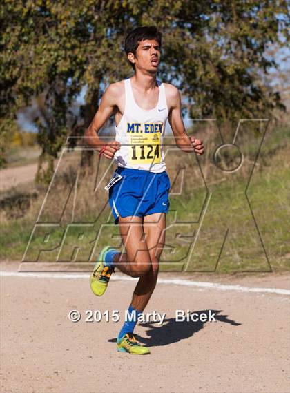 Thumbnail 3 in CIF State Cross Country Championships (D2 Boys Race) photogallery.