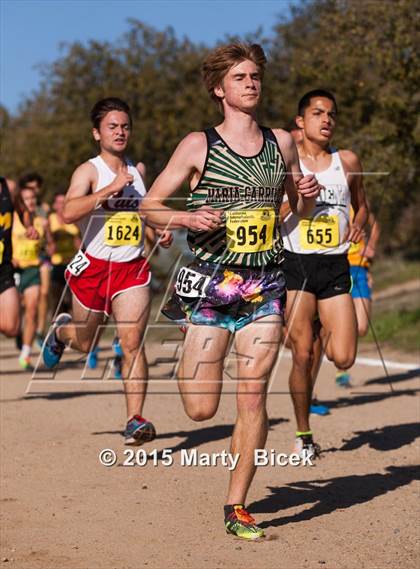 Thumbnail 1 in CIF State Cross Country Championships (D2 Boys Race) photogallery.