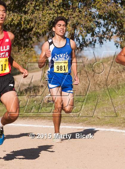 Thumbnail 2 in CIF State Cross Country Championships (D2 Boys Race) photogallery.