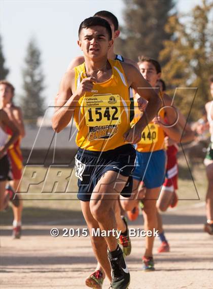 Thumbnail 2 in CIF State Cross Country Championships (D2 Boys Race) photogallery.