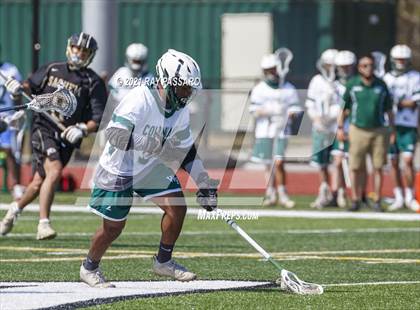 Thumbnail 3 in William Floyd @ Sachem North photogallery.