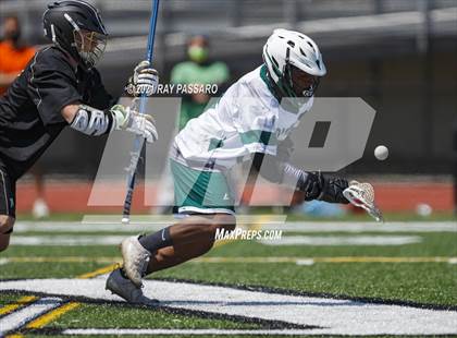 Thumbnail 1 in William Floyd @ Sachem North photogallery.
