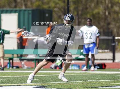 Thumbnail 1 in William Floyd @ Sachem North photogallery.