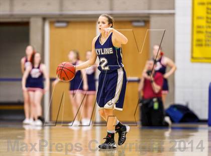 Thumbnail 3 in Skyline vs Springville (UHSAA 4A Final) photogallery.