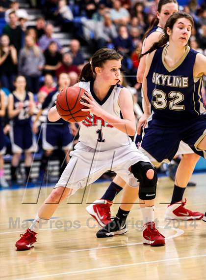 Thumbnail 2 in Skyline vs Springville (UHSAA 4A Final) photogallery.