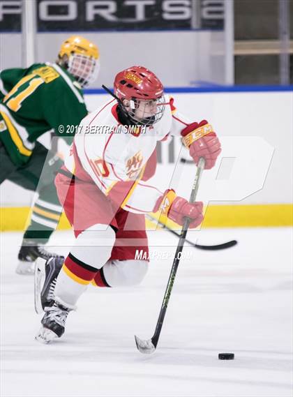 Thumbnail 1 in Williamsville East vs. West Seneca East (Section 6 Division 2 Semifinal) photogallery.
