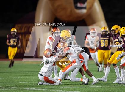 Thumbnail 2 in Poly @ Arlington photogallery.