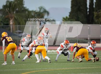 Thumbnail 1 in Poly @ Arlington photogallery.