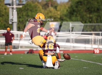 Thumbnail 3 in Poly @ Arlington photogallery.