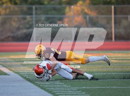 Thumbnail 1 in Poly @ Arlington photogallery.
