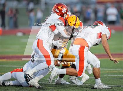 Thumbnail 2 in Poly @ Arlington photogallery.