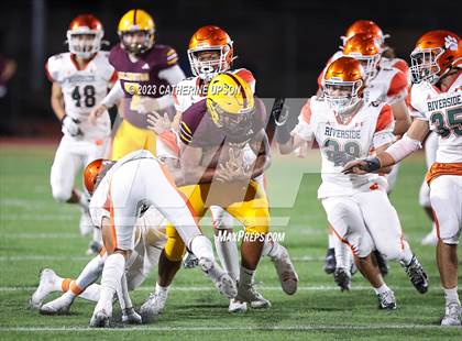 Thumbnail 2 in Poly @ Arlington photogallery.