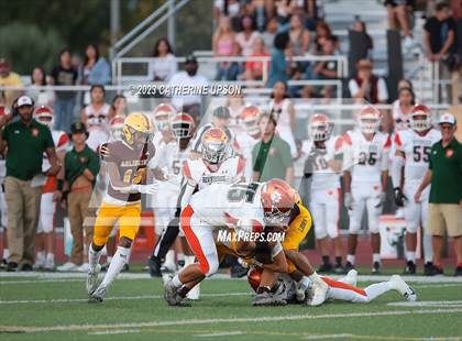 Thumbnail 1 in Poly @ Arlington photogallery.