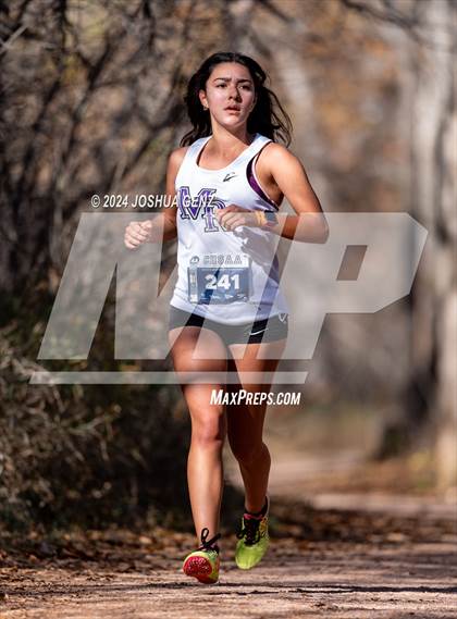 Thumbnail 1 in CHSAA 4A Cross Country Final photogallery.