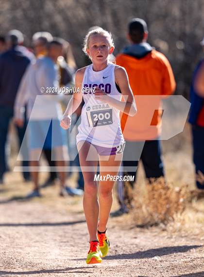 Thumbnail 1 in CHSAA 4A Cross Country Final photogallery.