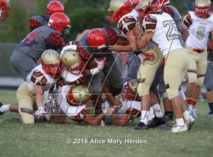 Thumbnail 3 in Hudson @ Springstead photogallery.