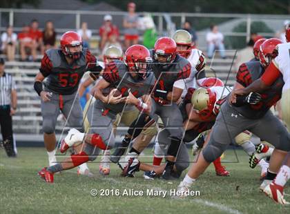 Thumbnail 2 in Hudson @ Springstead photogallery.