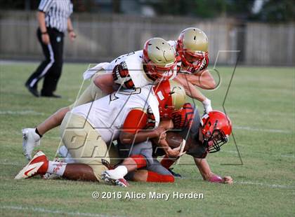Thumbnail 2 in Hudson @ Springstead photogallery.