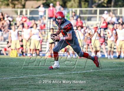 Thumbnail 1 in Hudson @ Springstead photogallery.