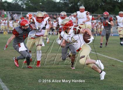Thumbnail 3 in Hudson @ Springstead photogallery.