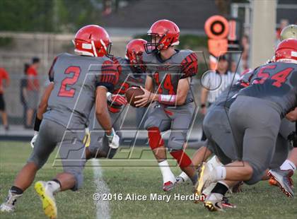 Thumbnail 1 in Hudson @ Springstead photogallery.
