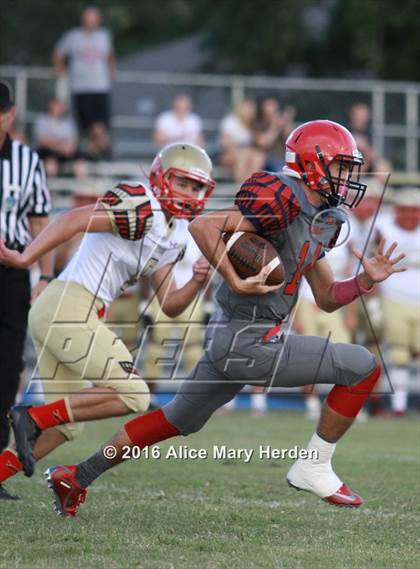 Thumbnail 2 in Hudson @ Springstead photogallery.