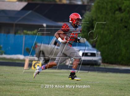Thumbnail 2 in Hudson @ Springstead photogallery.