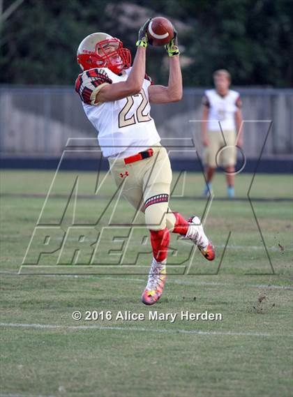 Thumbnail 3 in Hudson @ Springstead photogallery.