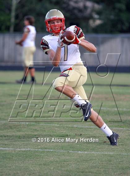 Thumbnail 1 in Hudson @ Springstead photogallery.