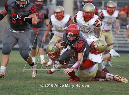 Thumbnail 1 in Hudson @ Springstead photogallery.