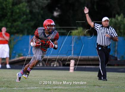 Thumbnail 1 in Hudson @ Springstead photogallery.