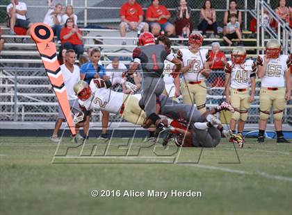 Thumbnail 2 in Hudson @ Springstead photogallery.