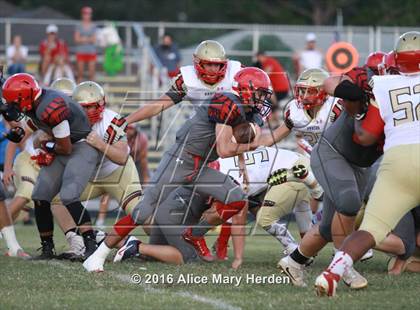 Thumbnail 3 in Hudson @ Springstead photogallery.