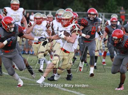 Thumbnail 2 in Hudson @ Springstead photogallery.
