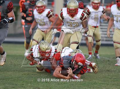 Thumbnail 2 in Hudson @ Springstead photogallery.