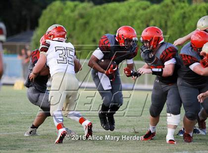 Thumbnail 3 in Hudson @ Springstead photogallery.