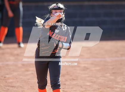 Thumbnail 2 in Camden Fairview @ Malvern photogallery.