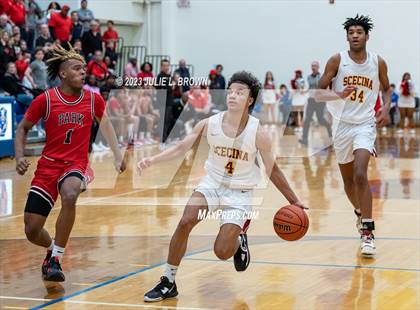 Thumbnail 3 in Park Tudor vs. Indianapolis Scecina Memorial (IHSAA 2A Regional 21 Championship)  photogallery.