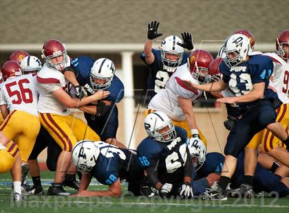 Thumbnail 2 in Lassiter @ Pope photogallery.