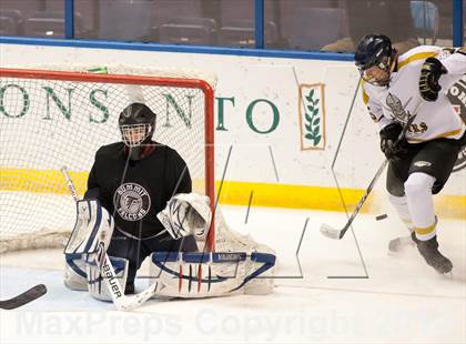 Thumbnail 1 in Rockwood Summit vs. Lafayette (Wickenheiser Cup Final) photogallery.