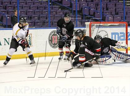 Thumbnail 1 in Rockwood Summit vs. Lafayette (Wickenheiser Cup Final) photogallery.
