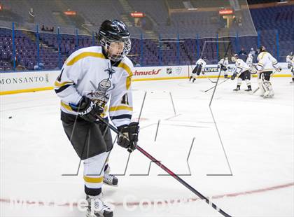 Thumbnail 3 in Rockwood Summit vs. Lafayette (Wickenheiser Cup Final) photogallery.