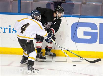 Thumbnail 2 in Rockwood Summit vs. Lafayette (Wickenheiser Cup Final) photogallery.