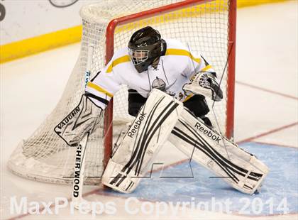 Thumbnail 1 in Rockwood Summit vs. Lafayette (Wickenheiser Cup Final) photogallery.