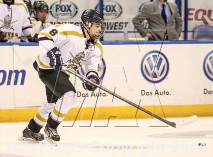 Thumbnail 3 in Rockwood Summit vs. Lafayette (Wickenheiser Cup Final) photogallery.
