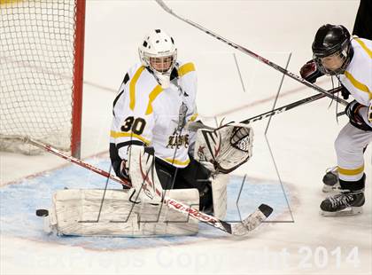 Thumbnail 1 in Rockwood Summit vs. Lafayette (Wickenheiser Cup Final) photogallery.
