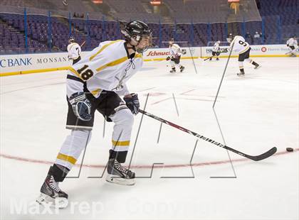 Thumbnail 2 in Rockwood Summit vs. Lafayette (Wickenheiser Cup Final) photogallery.